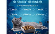 百鸥飞达猫粮好不？爱宠可选！