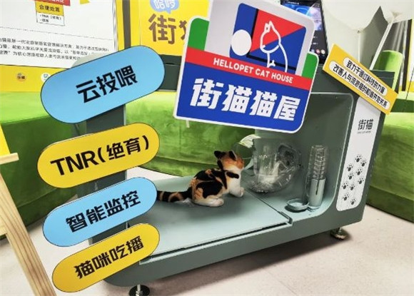哈啰街猫怎么样 哈啰街猫怎么样