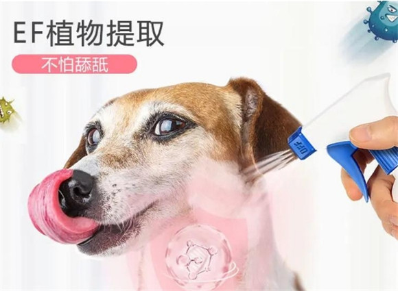 敌特宠物除臭剂安全吗？这篇文章有答案！