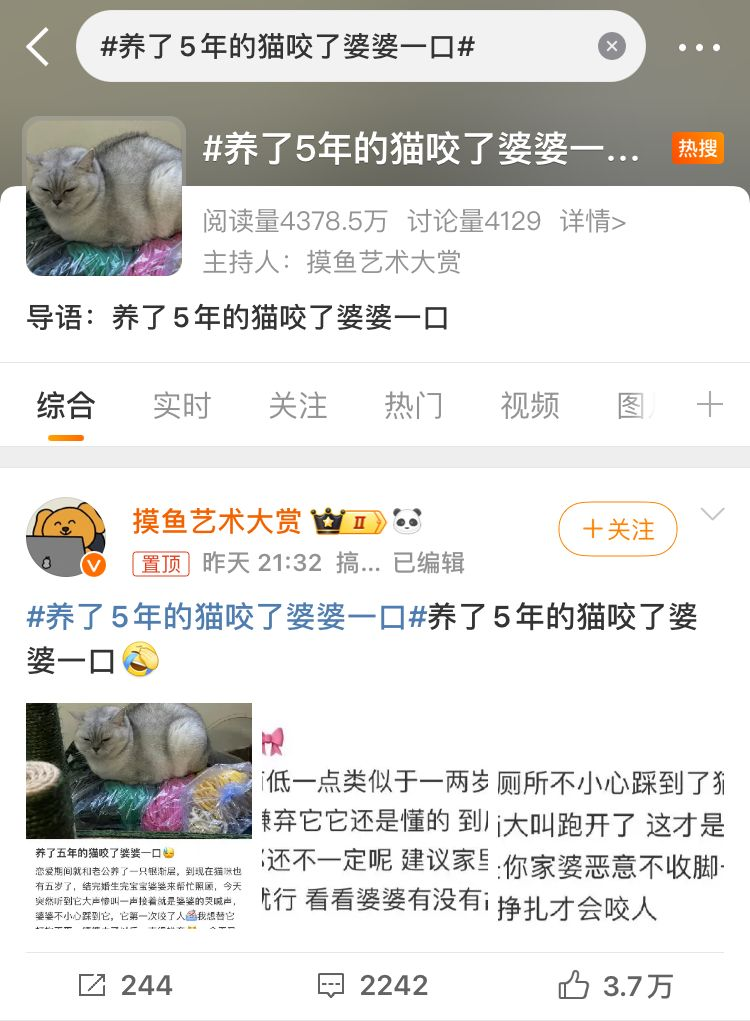 养了5年的猫突发异常，咬伤婆婆引发家庭反思