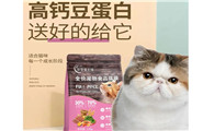 豆芽爱上猫：怎么帮猫咪选择合适的猫粮