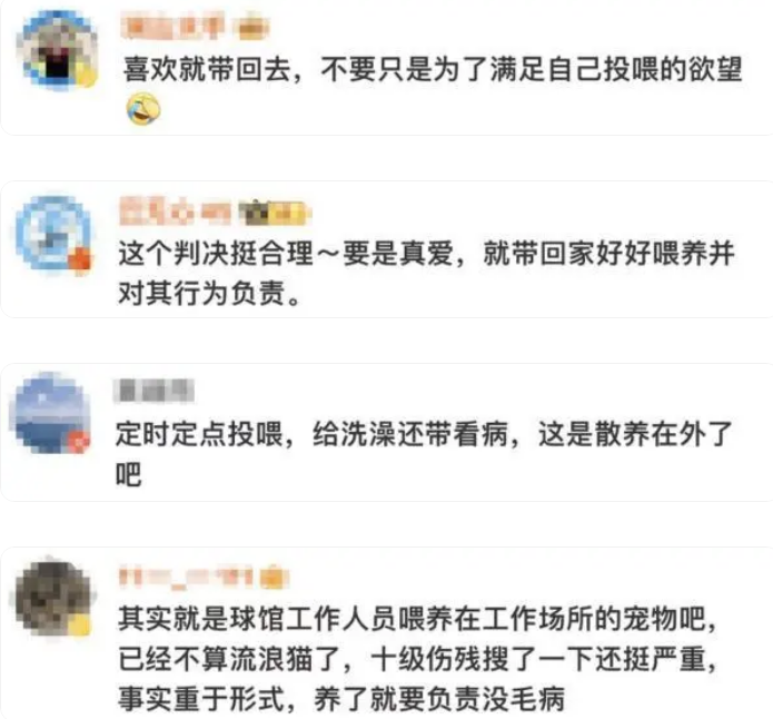 在球馆打球被投喂的猫咪绊倒摔伤，责任谁来担？