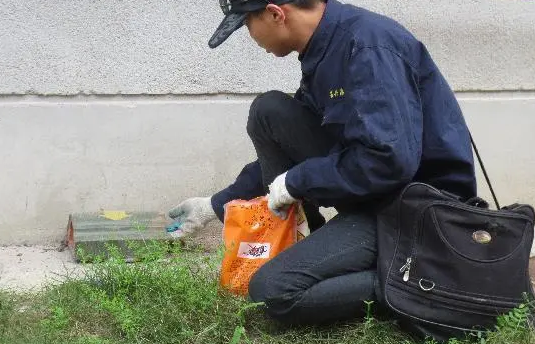 防治白蚁找哪个