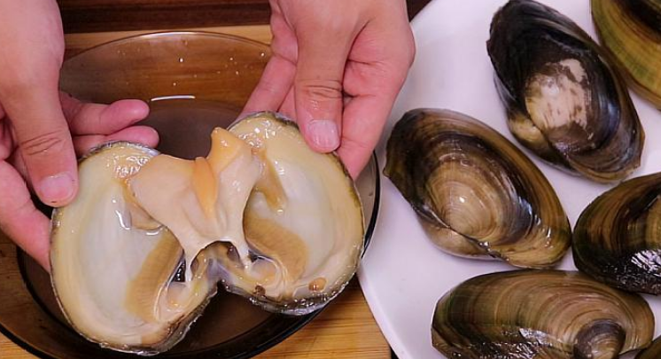 吃河蚌有什么功效
