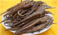 鹿茸海马功效与作用