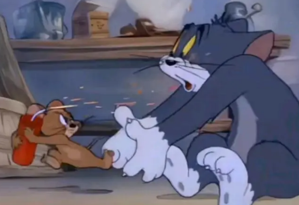 猫和老鼠身份证