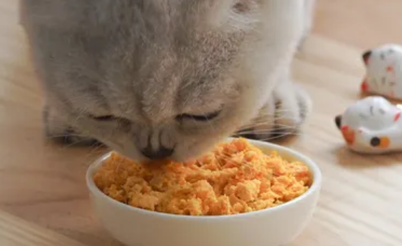 猫饭怎么做