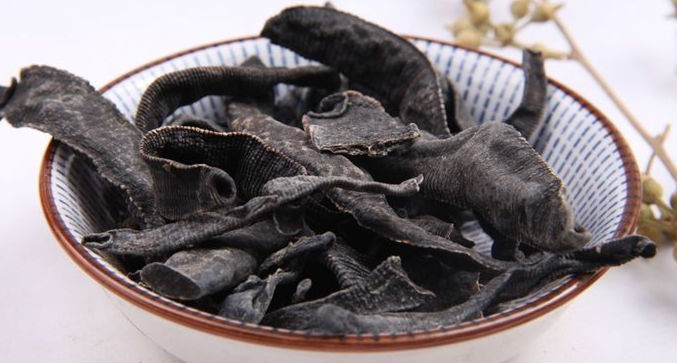 中药蚂蝗是什么