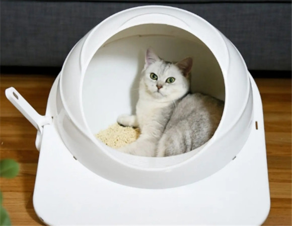 Furbulous猫砂盆放在家里哪个位置好 Furbulous猫砂盆放在家里哪个位置好