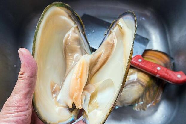 如何做河蚌好吃 如何做河蚌好吃