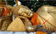猫佛像是什么意思