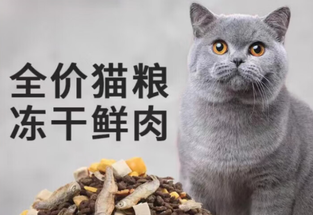 法氏公爵,专为活力四射的土猫设计 法氏公爵,专为活力四射的土猫设计