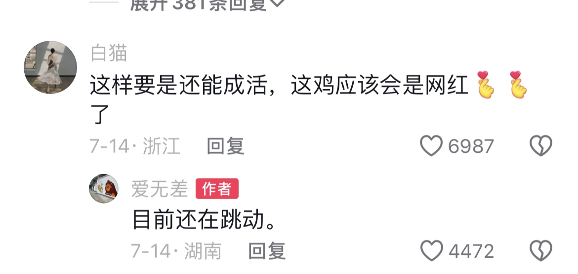 这是一只不放弃的小鸡，现已经成形！