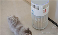 家里养猫什么空气净化器比较好