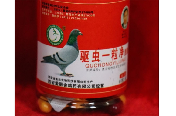 鸽蝇用什么药去除
