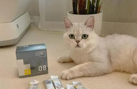 猫感冒了打喷嚏吃什么药好使