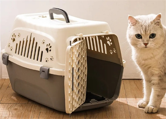得意猫宠物航空箱：这样选，就能选到优质航空箱