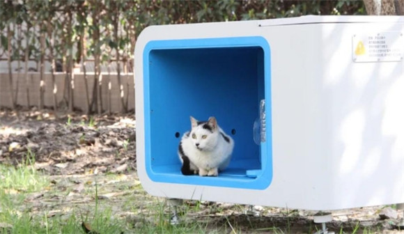 哈啰街猫是什么公司