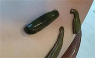 蚂蝗素功效作用