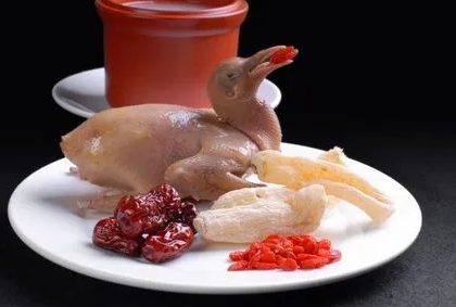 吃鸽子的营养价值