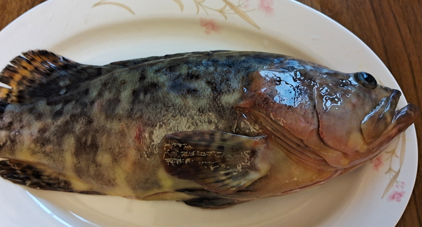 石斑鱼能吃吗