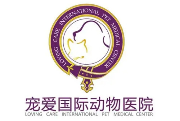 宠爱国际可以看什么病