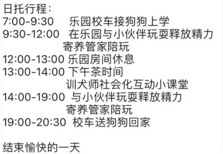 一个月上万，年轻人送狗狗去幼儿园学“装死”