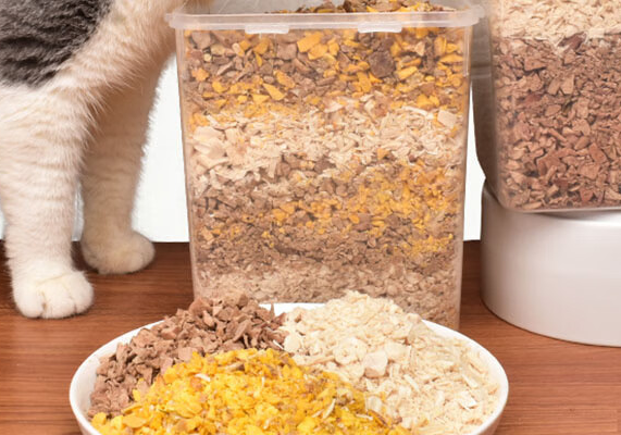 风宠宠物品牌的评价,你们都清楚吗? 风宠宠物品牌的评价,你们都清楚吗?