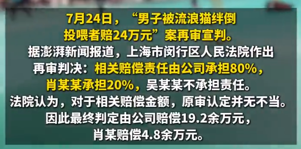 被流浪猫绊倒案再宣判