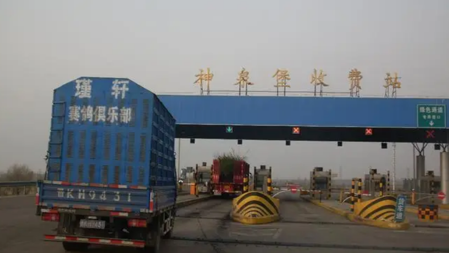 鸽子属于绿通吗 鸽子属于绿通吗