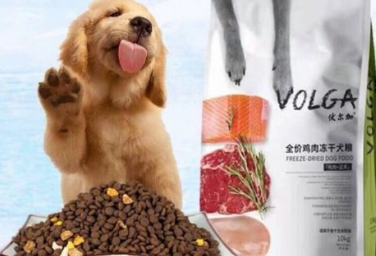 伏尔加狗粮的成分有哪些?来着了解! 伏尔加狗粮的成分有哪些?来着了解!
