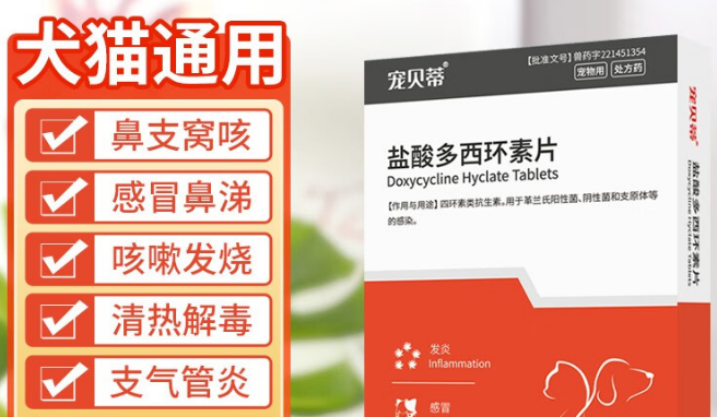 宠贝蒂产品特点及功能