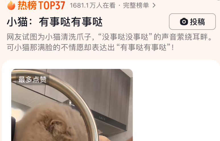 网友给猫咪洗爪子，结果小猫表示：有事哒有事哒