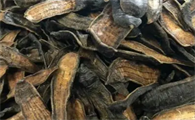 蚂蝗粉的副作用