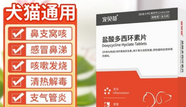 宠贝蒂，专注于宠物健康与护理的宠物品牌