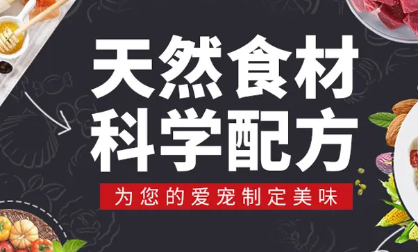 泛饭爱宠物用品有限公司主营宠物用品及宠物饲料