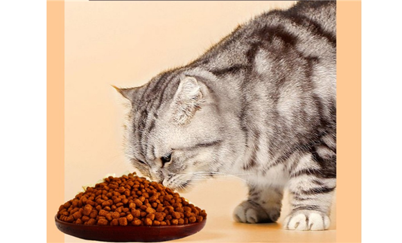 狼术猫粮怎么样?实用猫粮推荐 狼术猫粮怎么样?实用猫粮推荐