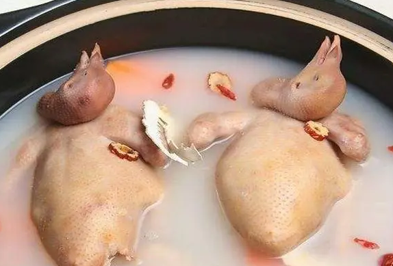 鸽子跟什么一起炖