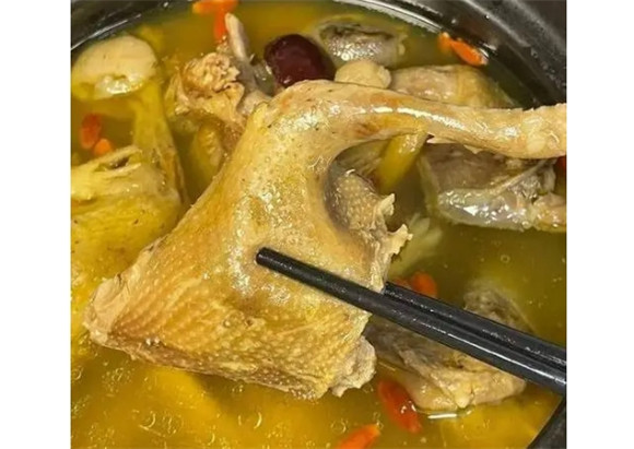 鸡补还是鸽子补 鸡补还是鸽子补