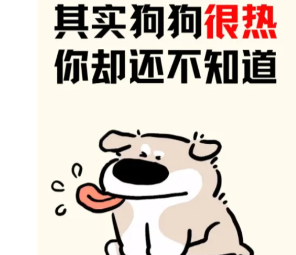 狗狗中暑不是小事！这7个症状一出现，立刻采取救治措施！