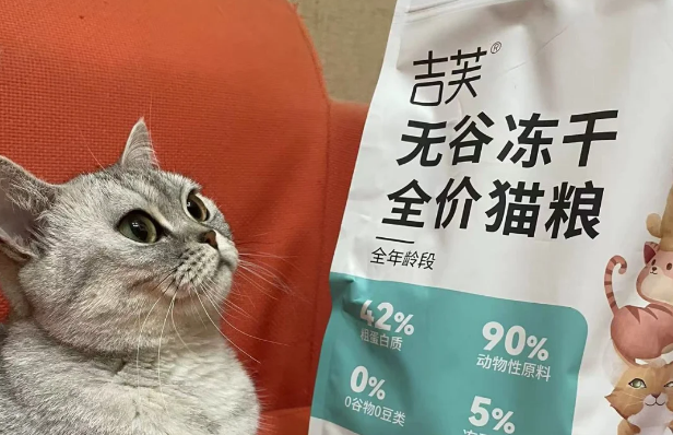 吉芙猫粮：美味与健康的结合