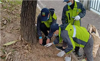 灭白蚁防治方法