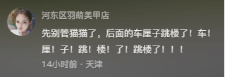 先别管猫了快去救车厘子！网友表示：真是给我整笑了