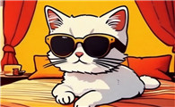 猫变老后,和之前养猫不一样,这种改变能接受吗?