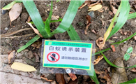 白蚁防治主要方法