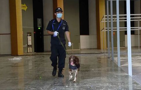 宠物犬伤人后遭犬主人否认，民警“三所联动”止纷争