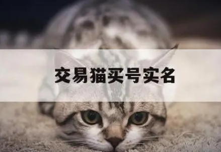 交易猫身份证号码安全吗
