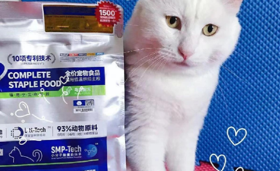 养猫日记:毛球殿下烘焙猫粮 养猫日记:毛球殿下烘焙猫粮