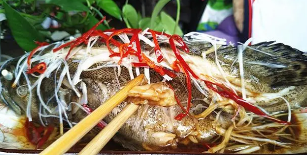 清蒸石斑鱼冷水还是热水蒸 清蒸石斑鱼冷水还是热水蒸