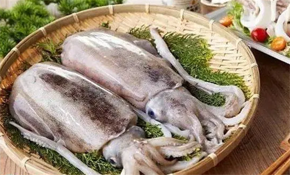 八爪鱼是不是墨鱼